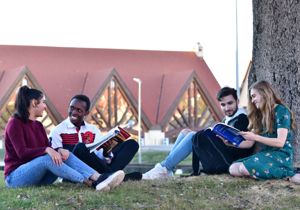 Four students sitting on the grass, engrossed in reading books.